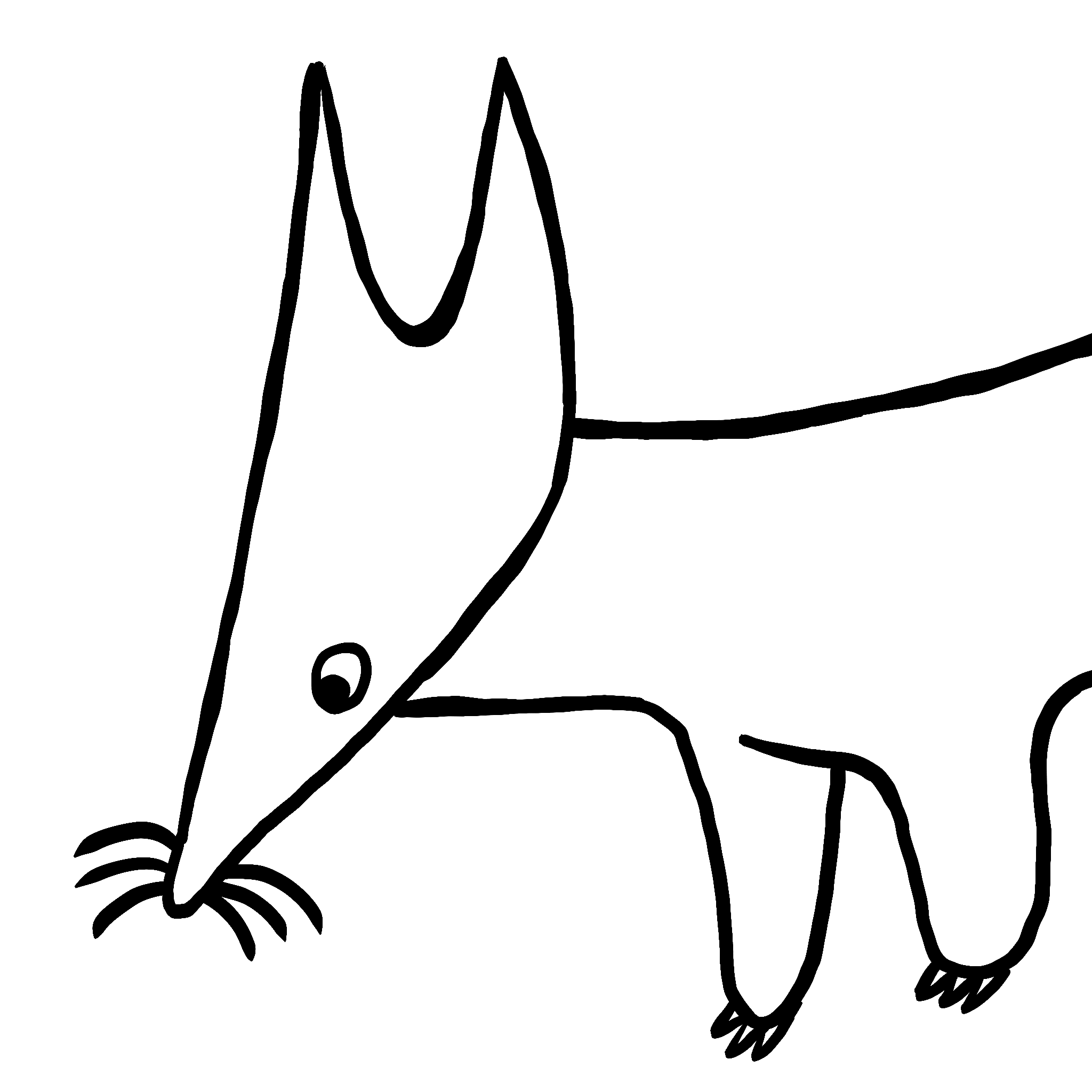 Prof pic of a Silvertail